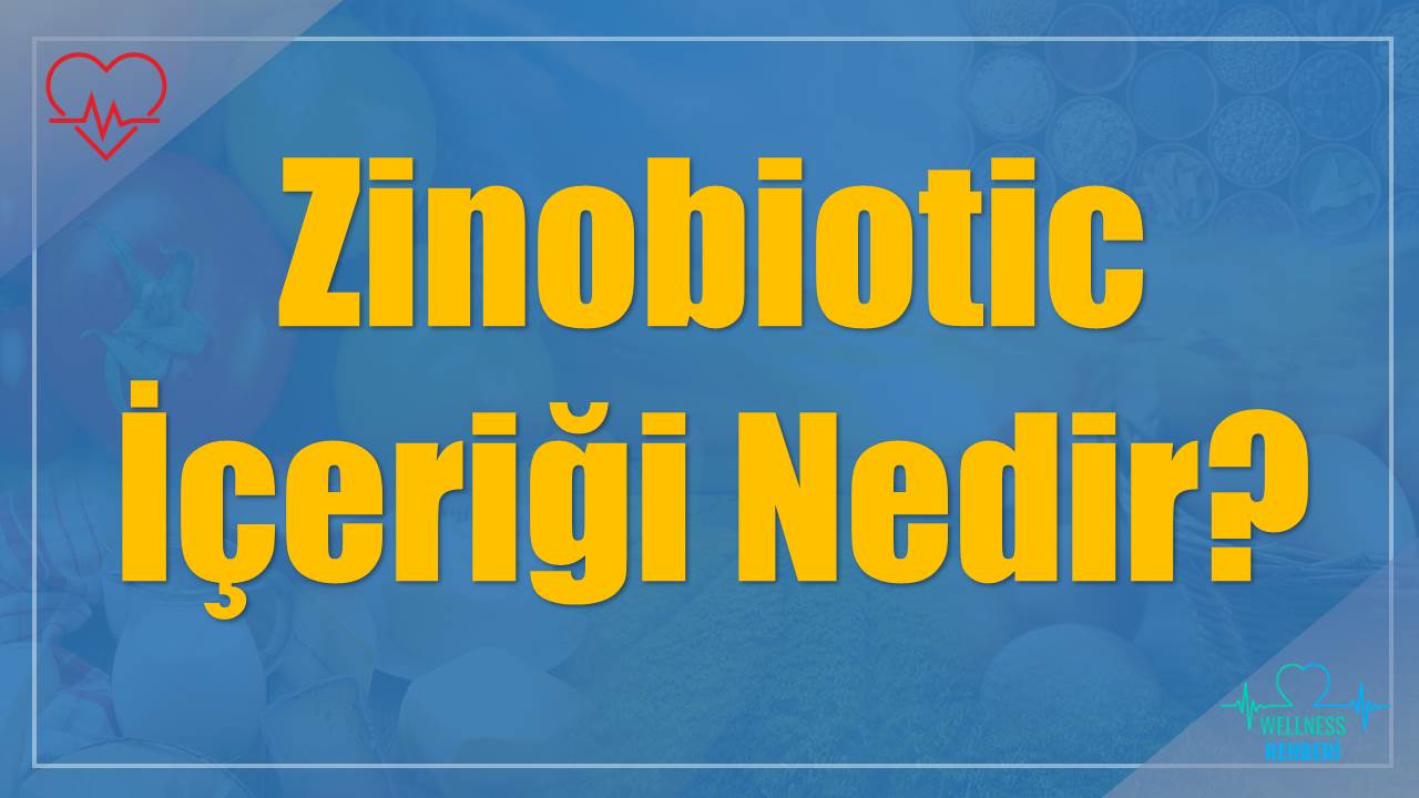 Zinobiotic İçeriği Nedir?