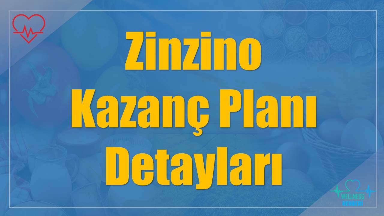Zinzino Kazanç Planı Detayları