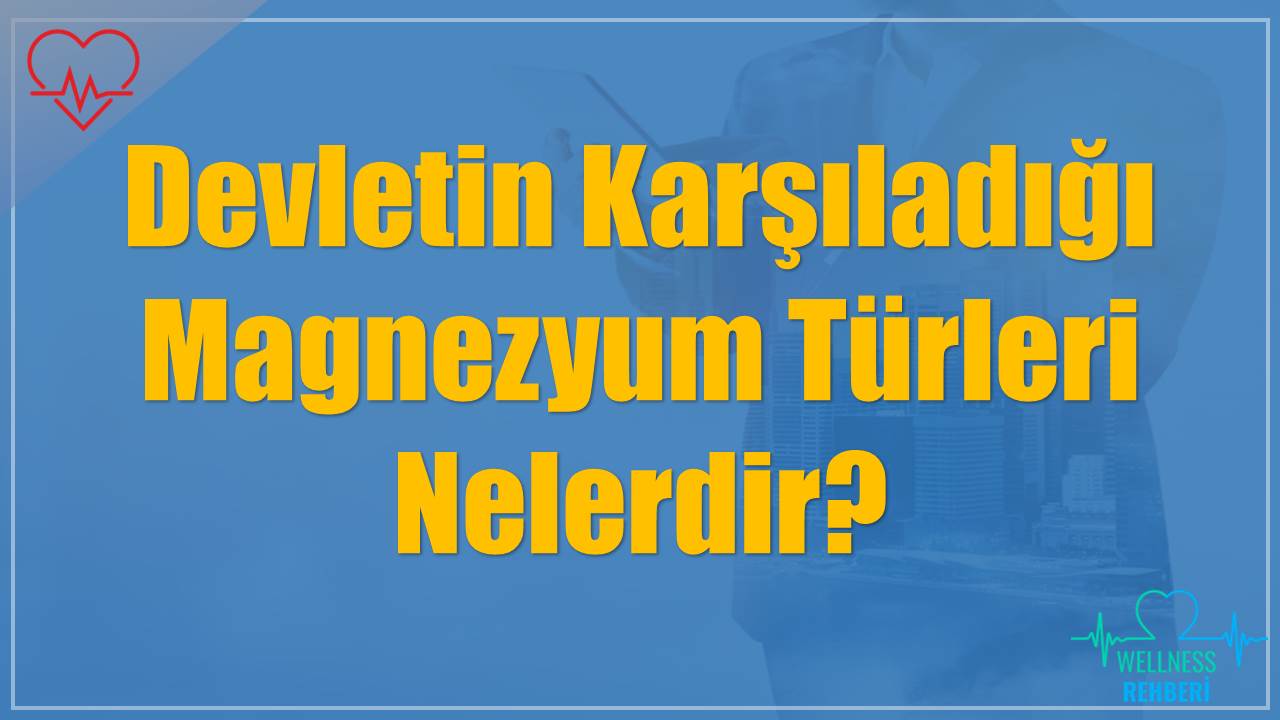 Devletin Karşıladığı Magnezyum Türleri Nelerdir?