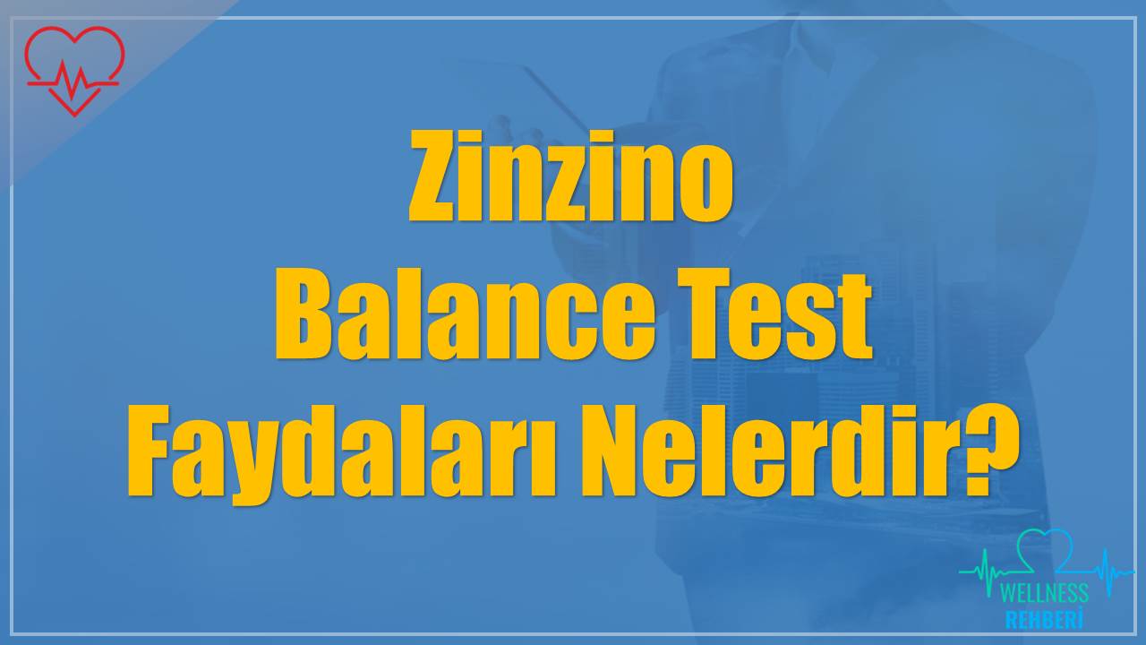 Zinzino Balance Test Faydaları Nelerdir?