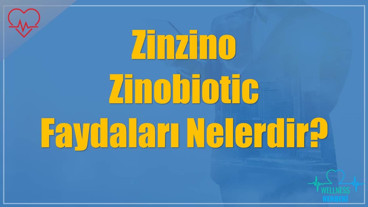 Zinzino Zinobiotic Faydaları Nelerdir?