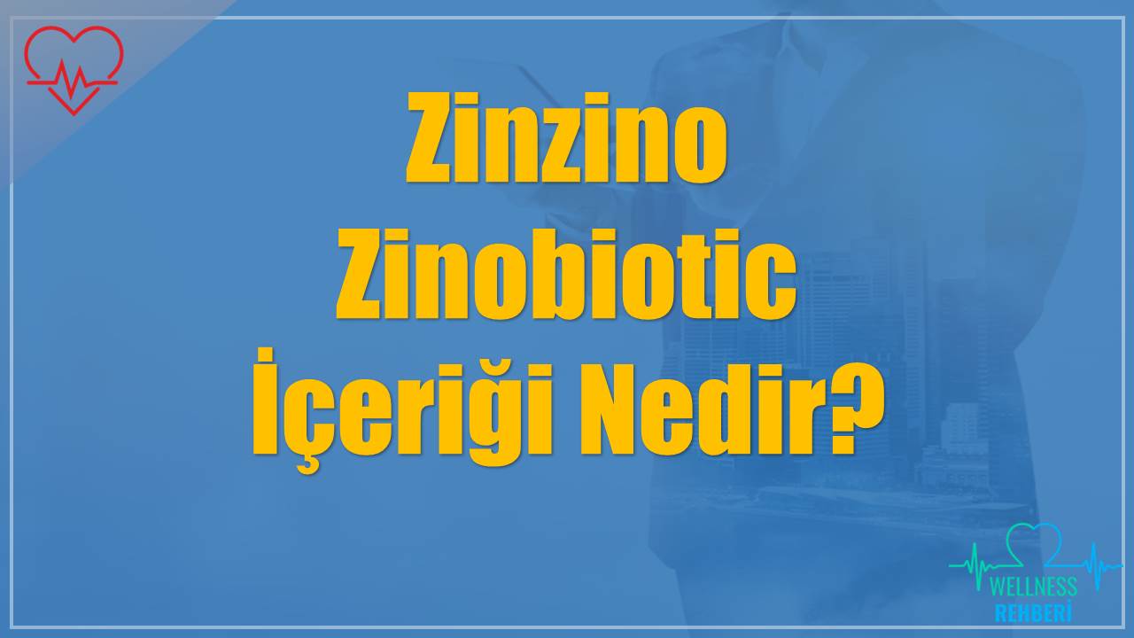 Zinzino Zinobiotic İçeriği Nedir?