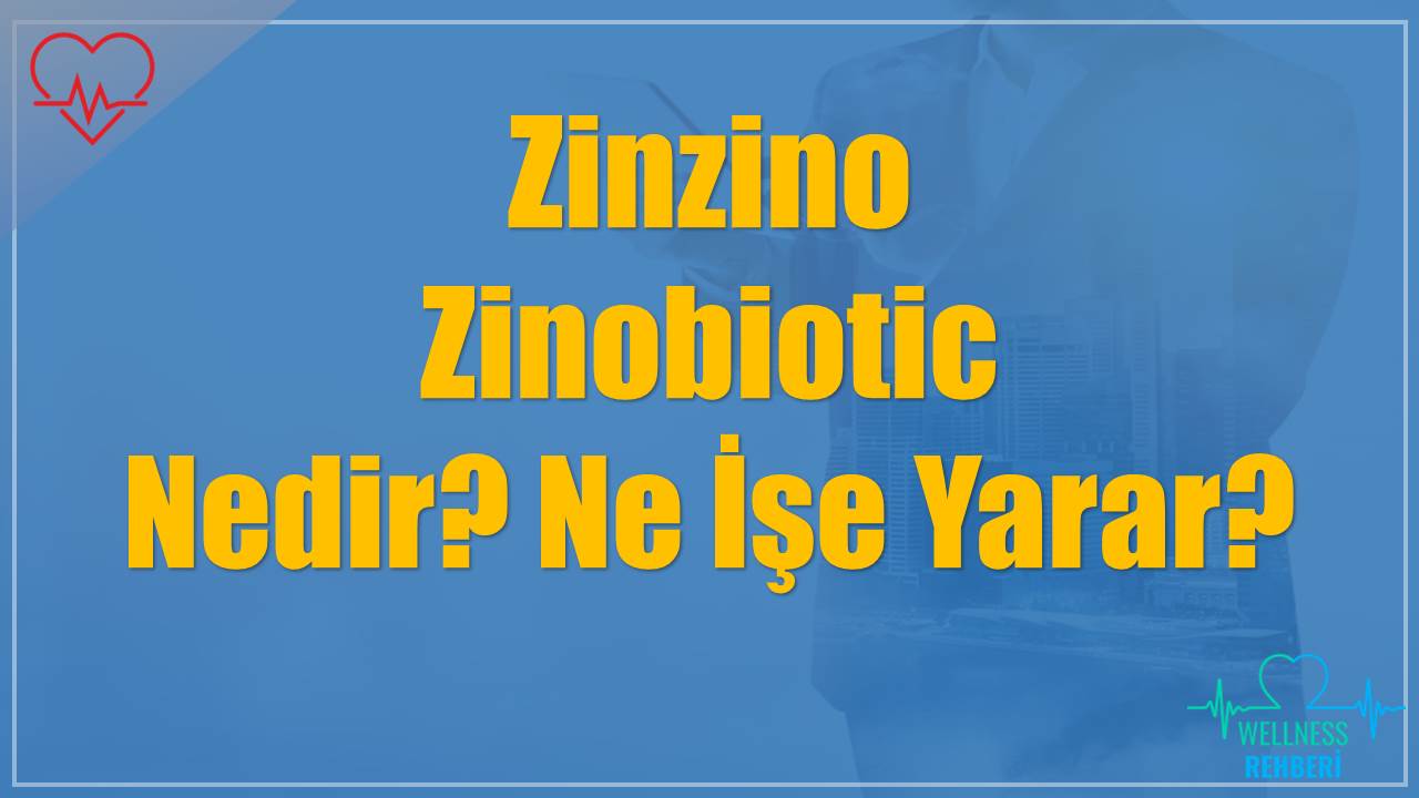 Zinzino Zinobiotic Nedir? Ne İşe Yarar?